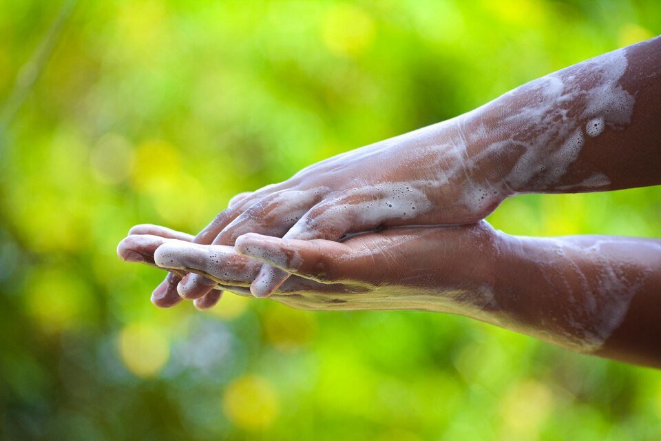 Theme for 2024 Clean Hands, Brighter Future