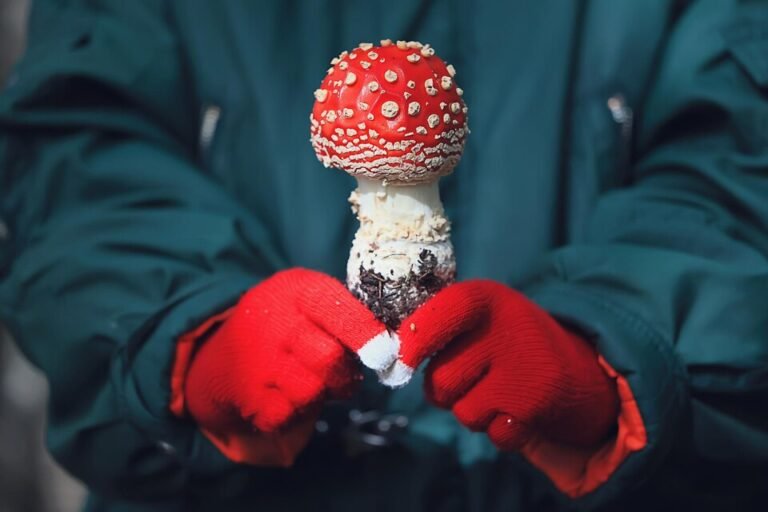 Can You Smoke Shrooms? Effects and Myths