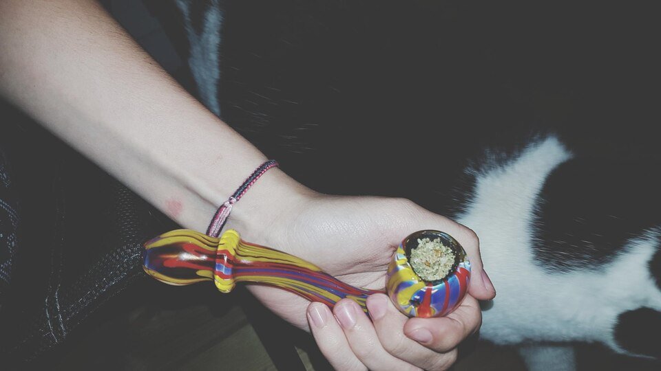 Can You Smoke Shrooms?