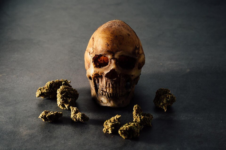 Effects of Smoking Shrooms